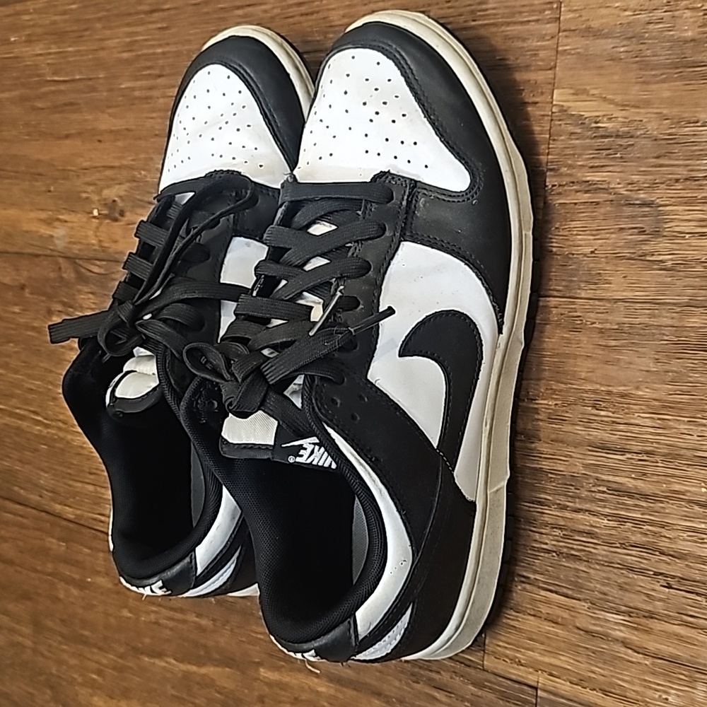 Nike Low Top Dunks